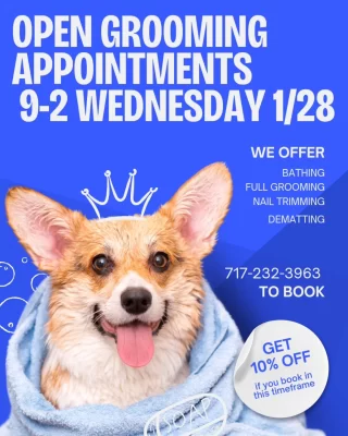 Instagram post 18130321819516003